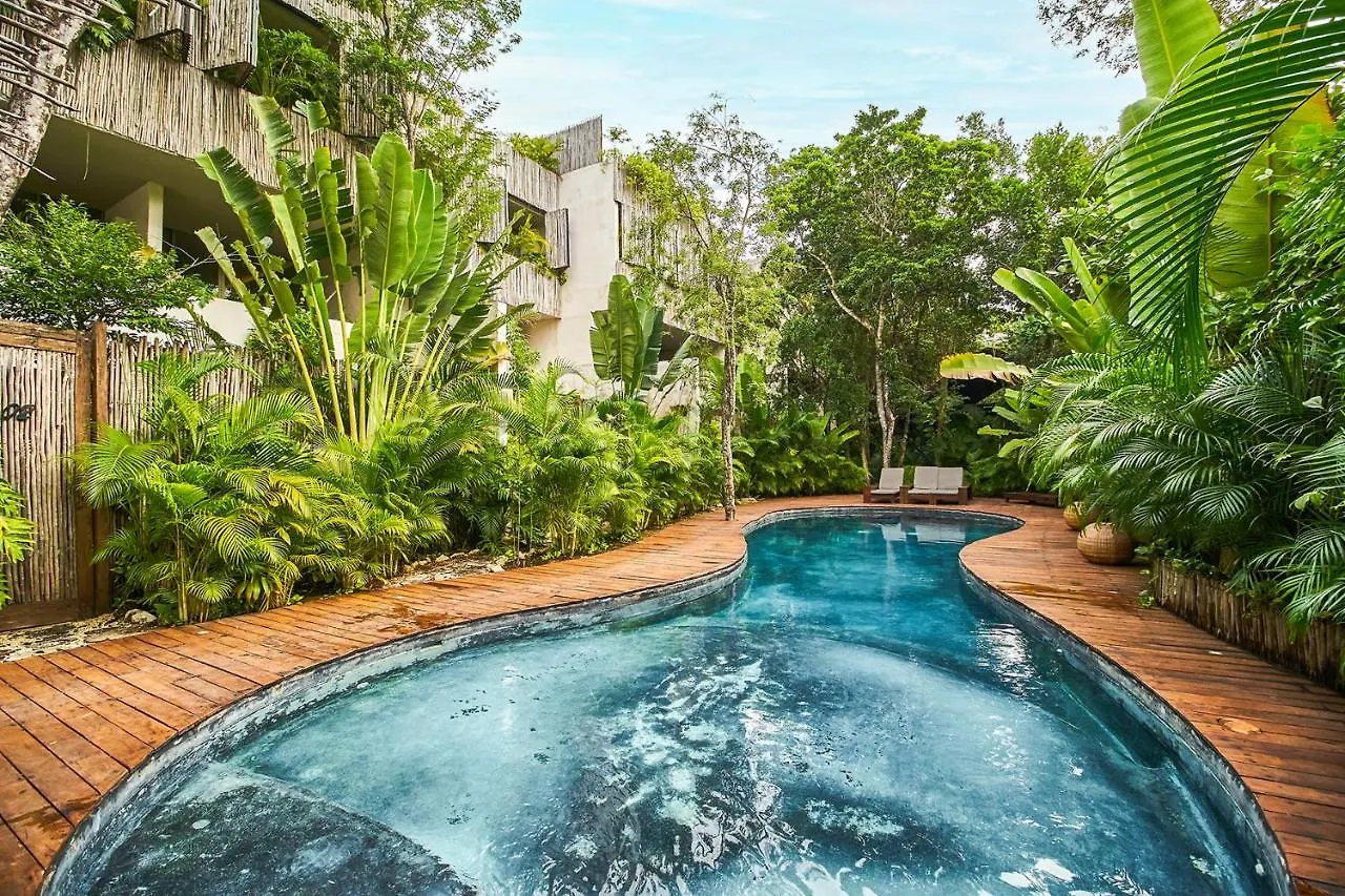 Eco-Chic Design Condos Wrapped In Nature'S Elements By Stella Rentals トゥルム アパート