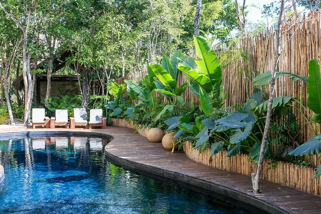 Eco-Chic Design Condos Wrapped In Nature'S Elements By Stella Rentals トゥルム 0*,