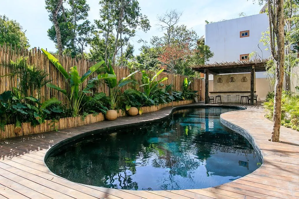 Eco-Chic Design Condos Wrapped In Nature'S Elements By Stella Rentals トゥルム メキシコ