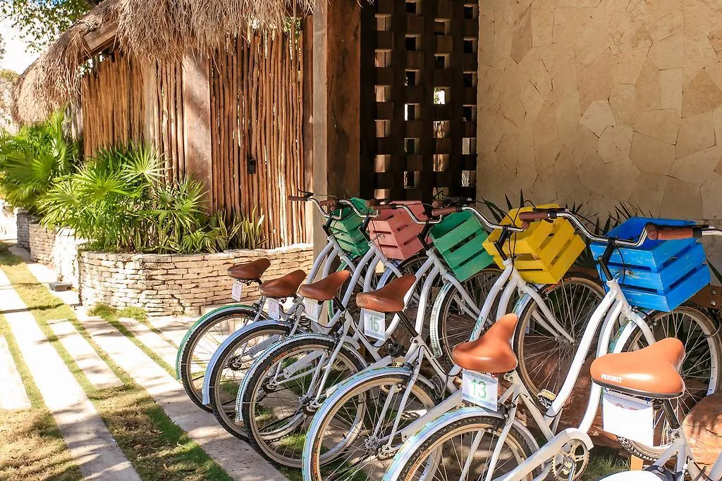 Eco-Chic Design Condos Wrapped In Nature'S Elements By Stella Rentals トゥルム メキシコ