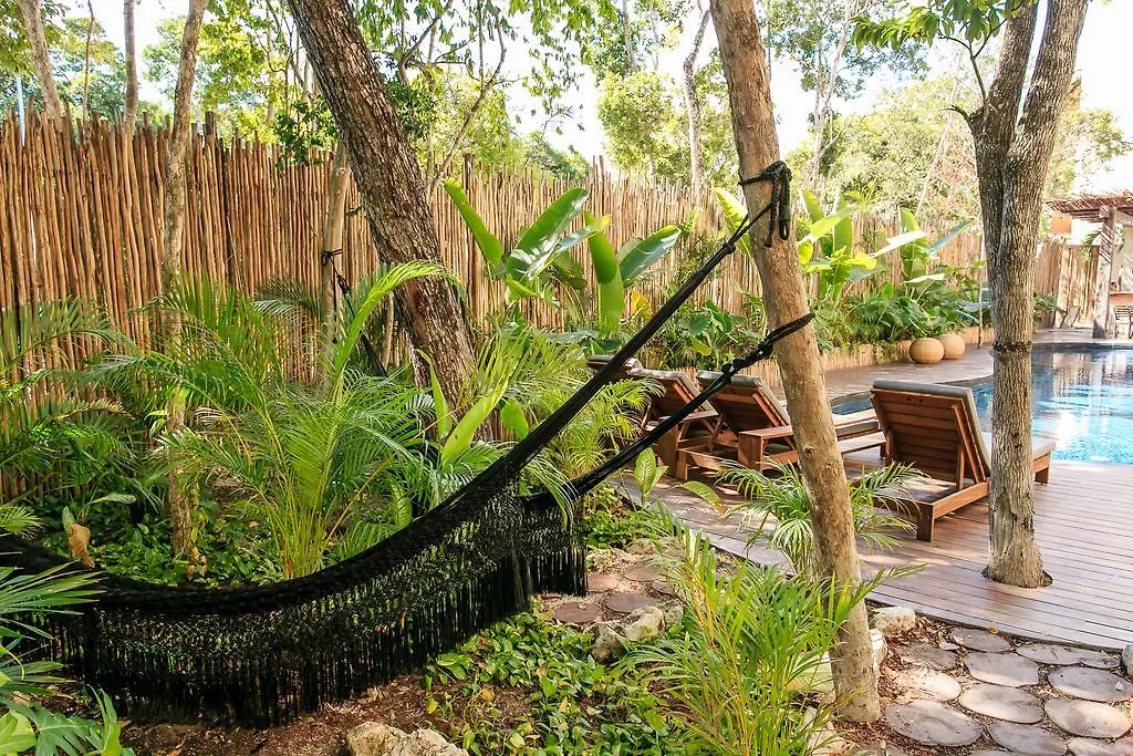 Eco-Chic Design Condos Wrapped In Nature'S Elements By Stella Rentals トゥルム アパート