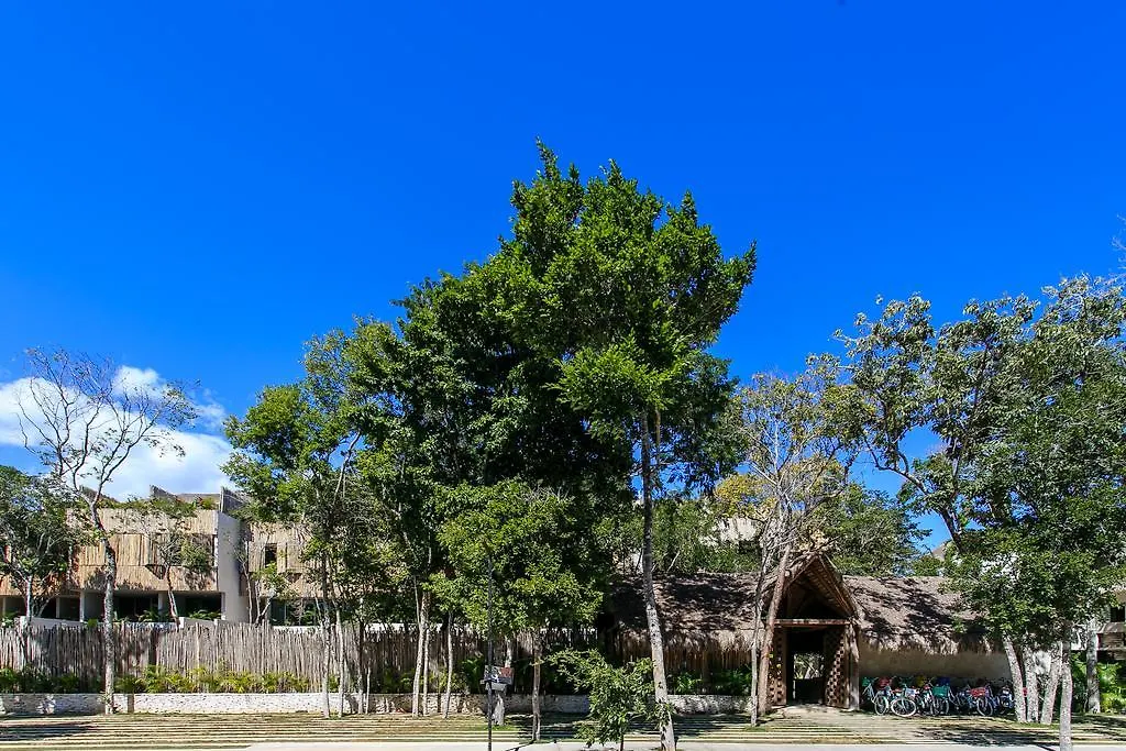アパート Eco-Chic Design Condos Wrapped In Nature'S Elements By Stella Rentals トゥルム メキシコ