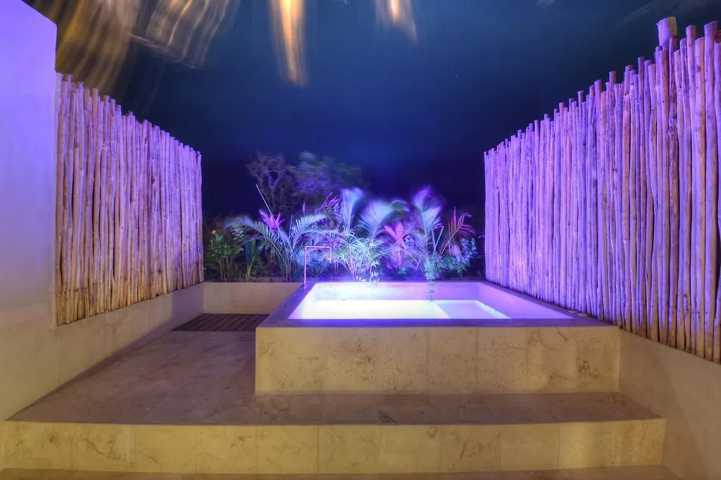 Eco-Chic Design Condos Wrapped In Nature'S Elements By Stella Rentals トゥルム